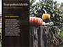 Still Life Harvest with Pumpkins and Leaves Presentation slide 9