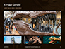 Close up of Giant Dinosaur or T-rex Skeleton Presentation slide 13