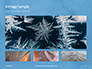 Beautiful Crispy Frost Structure on a Window Presentation slide 13