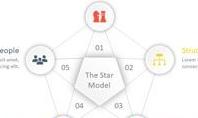 Galbraith’s Star Model Framework