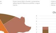 Animal Husbandry Free PowerPoint Infographic