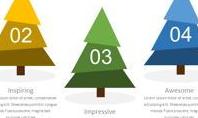 5 Cartoon Spruces Infographic
