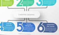 Credit Risk Solution Infographics