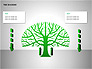 Tree Diagrams slide 4