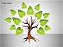 Tree Diagrams slide 9