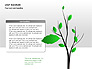 Leaf Diagrams slide 1