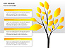 Leaf Diagrams slide 11