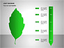 Leaf Diagrams slide 12