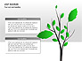 Leaf Diagrams slide 2