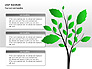 Leaf Diagrams slide 3
