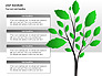 Leaf Diagrams slide 4