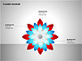 Flower Stages Diagram slide 10