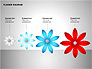 Flower Stages Diagram slide 12