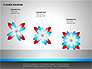 Flower Stages Diagram slide 13
