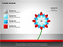 Flower Stages Diagram slide 14