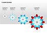 Flower Stages Diagram slide 5