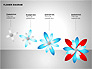 Flower Stages Diagram slide 9