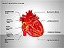 Free Heart's Electrical System slide 1