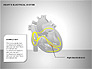 Free Heart's Electrical System slide 10
