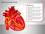 Free Heart's Electrical System slide 12