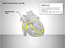 Free Heart's Electrical System slide 2
