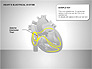 Free Heart's Electrical System slide 3
