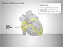 Free Heart's Electrical System slide 4