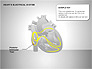 Free Heart's Electrical System slide 5