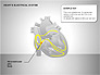 Free Heart's Electrical System slide 6