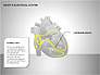 Free Heart's Electrical System slide 8