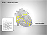 Free Heart's Electrical System slide 9