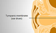 Human Ear Diagram