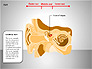Human Ear Diagram slide 15