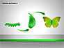Cocoon Butterfly Diagram slide 1