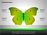 Cocoon Butterfly Diagram slide 10