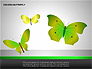 Cocoon Butterfly Diagram slide 12