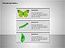 Cocoon Butterfly Diagram slide 15