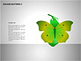 Cocoon Butterfly Diagram slide 8