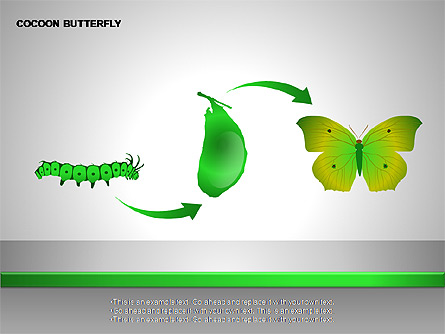 Cocoon Butterfly Diagram Presentation Template, Master Slide