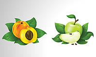 Free Fruits Collection