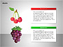 Free Fruits Collection slide 4