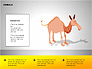 Animals Diagrams slide 1