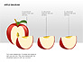 Apple Diagrams Collection slide 13