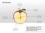 Apple Diagrams Collection slide 2
