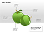 Apple Diagrams Collection slide 7