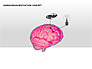Human Brain Motivation Diagrams slide 3