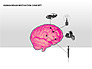 Human Brain Motivation Diagrams slide 5