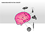 Human Brain Motivation Diagrams slide 6