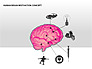 Human Brain Motivation Diagrams slide 7
