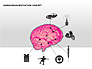 Human Brain Motivation Diagrams slide 8